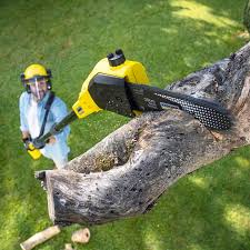 Best Commercial Tree Services  in Potomac Mills, VA