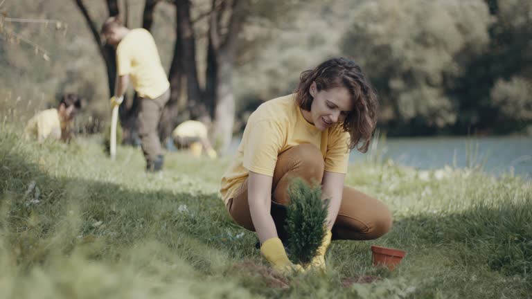 Best Soil Testing and Treatment  in Potomac Mills, VA