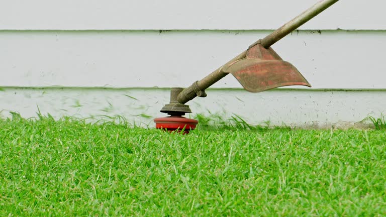 Best Stump Grinding and Removal  in Potomac Mills, VA